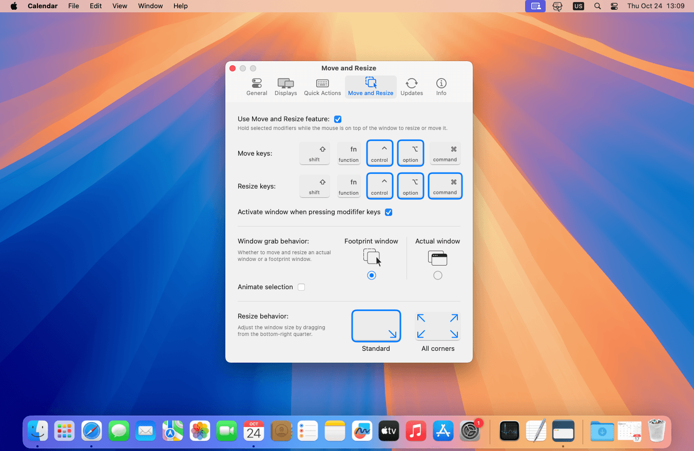 Move and resize feature settings